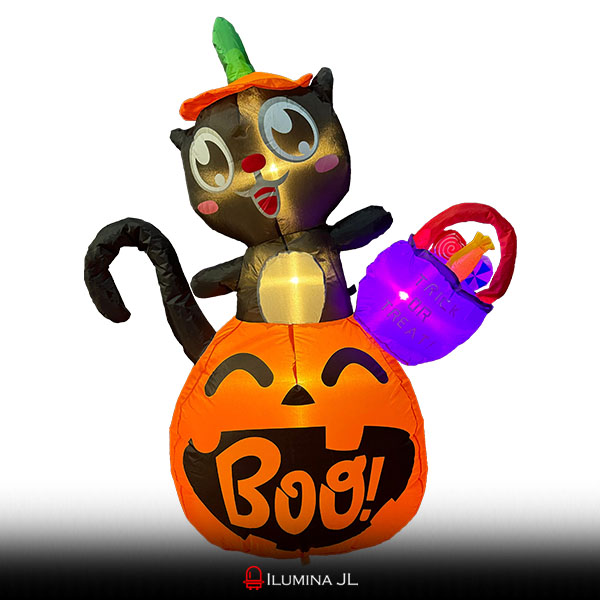 Gato en Calabaza